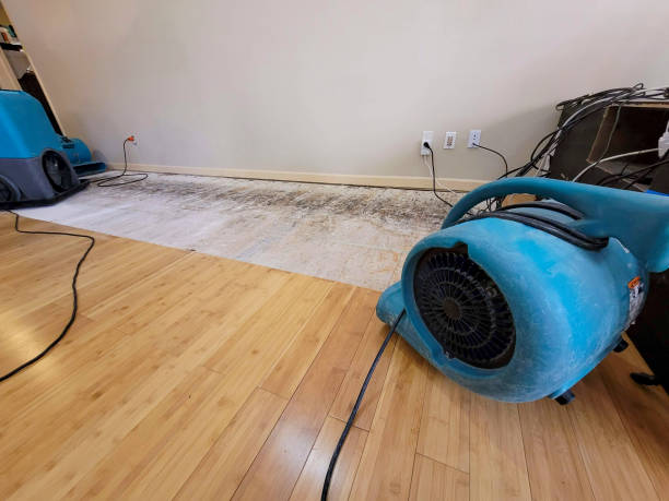 Reliable Crawl Space Water Removal contractor in East Brunswick, NJ by Hirex Water Damage