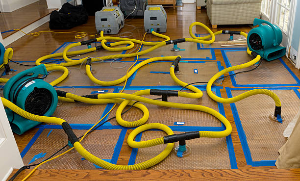 Professional Crawl Space Water Removal technician working in East Brunswick, NJ